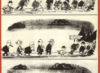 quino15