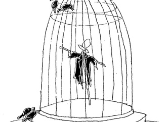 mohammad hoseein niromand 2