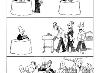quino53