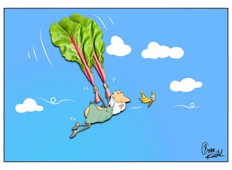 Gallery:6th International Rhubarb Cartoons Contest, Romania 2024