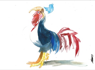 cartoon section71