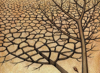 Drought