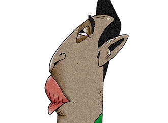 claudio alecrim brazil 5