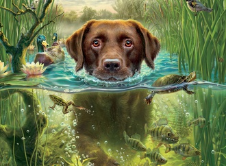 Gallery of Cartoons & Illustration by mark fredrickson-USA