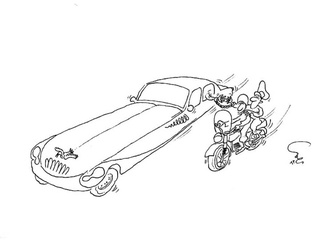 mohammadhosein niromand 14