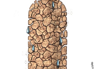 marcelo chamorro2