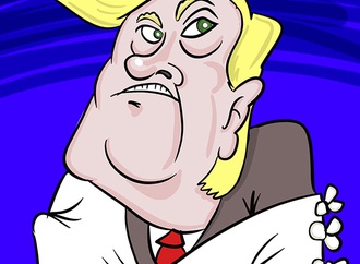 cartoon section323