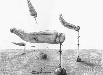cardon22