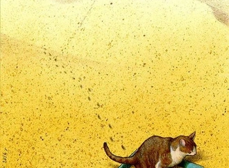 pawel kuczynski 2