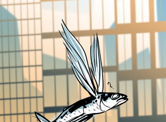 bob katzenelson denmark 15