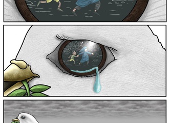 miguel morales madrigal 11