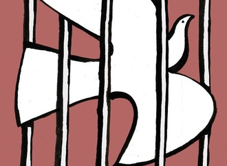 ivan lira35