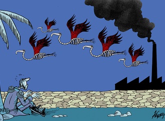 karry carrioun