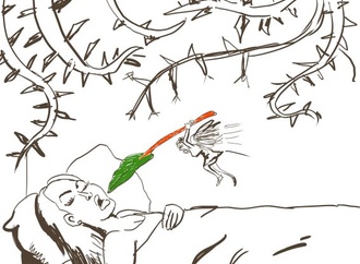 Gallery:6th International Rhubarb Cartoons Contest, Romania 2024