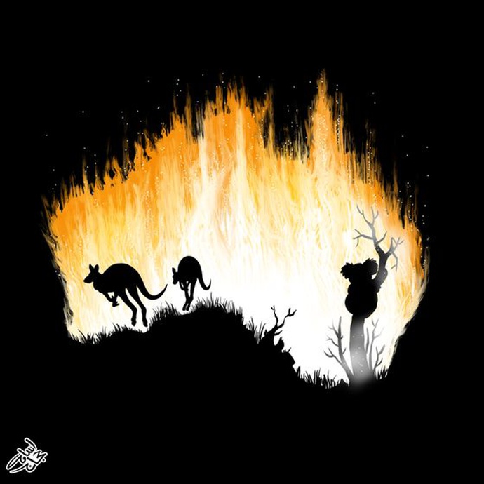 By: Osama Hajjaj | Jordan 