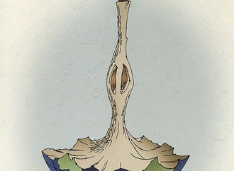 liang yu13