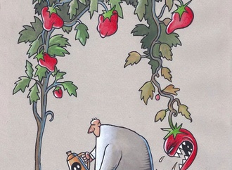 musa gumus14