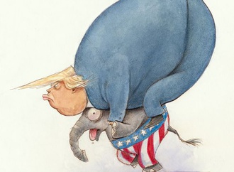 
                                                                                                  John Mckinley - United States of America
