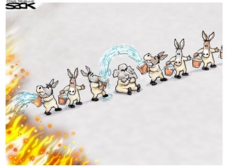 steve sack2