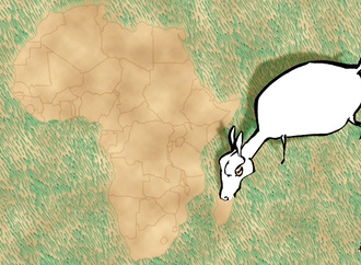 bob katzenelson denmark 54