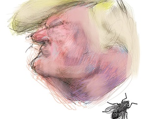 caricature section 88