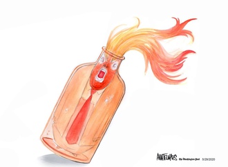 ann telnaes sweden 1