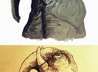 farhad bahrami reykani iran 123