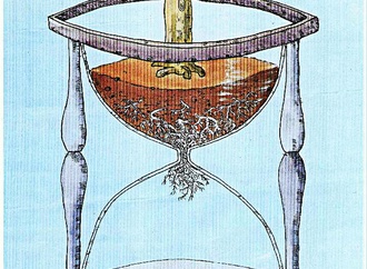 reza moharamipour2