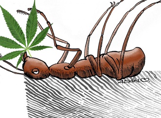 adan iglesias toledo cuba 63