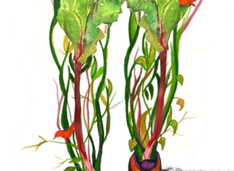 Gallery:6th International Rhubarb Cartoons Contest, Romania 2024