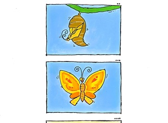 vahideh mansouri iran 6