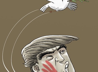 cartoon section427