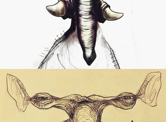 farhad bahrami reykani iran 124