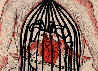 organ donation90