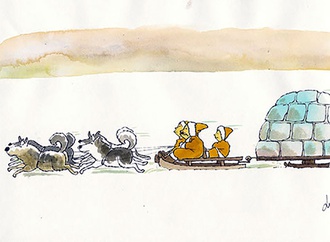 ludo goderis belgium 40