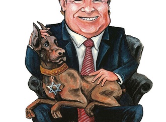 cartoon section262
