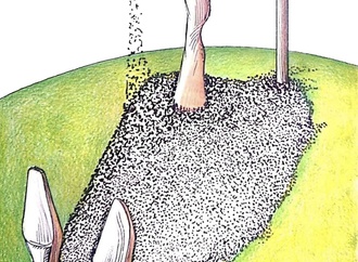 Gallery of the Best World Cartoon-Part 931