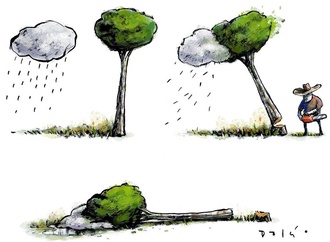 the environment