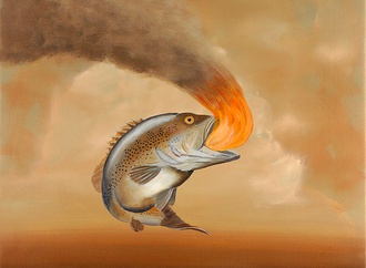 robert deyber usa 20