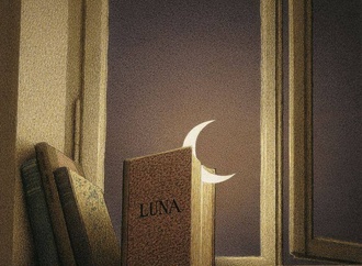 quint buchholz7