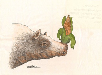zhang yaming china