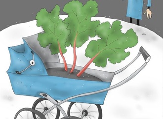 Finalists of 6th International Rhubarb Cartoons Contest, Romania 2024