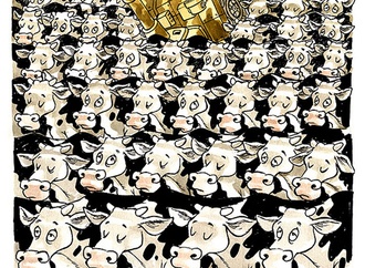 jitet_kustana_ _indonesia_49