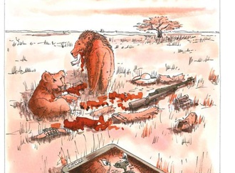 sinaloa mexico 2019 144