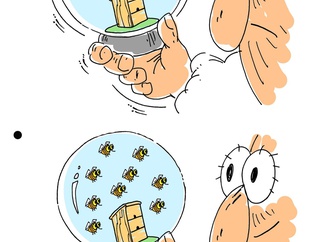 valeriy momot ukraine