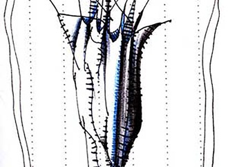 kambiz dearmbakhsh 270