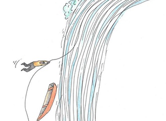 masoud ziaei zardkhashoei5