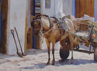 
                                                                                                  Gonzalo Carcamo - Chile