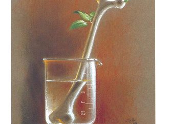 Gallery of Nasreddin Hodja Cartoon Contest-2004