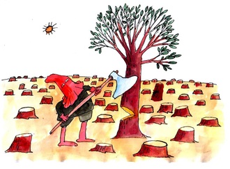 pavel constantin romania 16